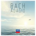 J.S. Bach: Cantata No. 156, BWV 156 "Ich steh mit einem FuS im Grabe" - Sinfonia
