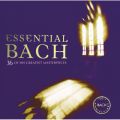 JDSD Bach: Brandenburg Concerto NoD 2 in F, BWV 1047: 1D (Allegro)