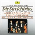 Beethoven: yOdt̂߂̃Zi[hj i8 - 2y:Menuetto (Allegretto) - Trio - Coda