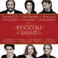 Puccini: ̌gD[hbg - uNQĂ͂Ȃʁv
