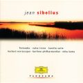 Sibelius: tBfBA i267 - Andante sostenuto - Allegro moderato - Allegro