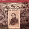 Schumann: Piano Quartet in E-Flat Major, OpD 47 - ID Sostenuto assai - Allegro ma non troppo