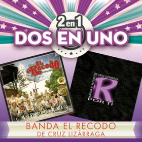 Necesito Verte (Album Version) / Banda El Recodo De Cruz Lizarraga