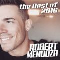 Ao - The Best Of 2016 / Robert Mendoza