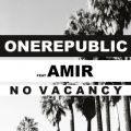 pubN̋/VO - No Vacancy feat. Amir