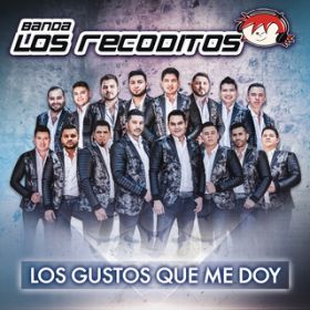 Ao - Los Gustos Que Me Doy / Banda Los Recoditos