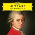 Mozart: sAmE\i^ 8 CZ K.310 (300d) - 1y: Allegro maestoso