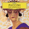 Puccini: ̌WjEXLbL - ̂