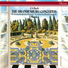 JDSD Bach: Brandenburg Concerto NoD 5 in D, BWV 1050 - 2D Affetuoso / CEW`tc