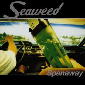 Ao - Spanaway / Seaweed