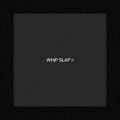 fBV̋/VO - Whip Slap II