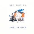 Ao - Lost In Love: The Best Of Slow Jams (Reissue) / j[EGfBV
