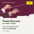 V^[cJyEx^Max von Schillings̋/VO - Wagner: Siegfried, WWV 86C - Forest Murmurs