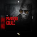 DJ Arafat̋/VO - Pandou Koule