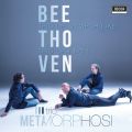 Ao - Beethoven: Trios OppD 1  97 / Trio Metamorphosi