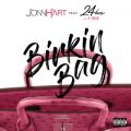 Jonn Hart̋/VO - Birkin Bag feat. 24hrs