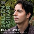 Ao - Beethoven: Piano Sonatas NosD 2, 10, 12, 13, 21, 24, 31 / T[EAVJ[