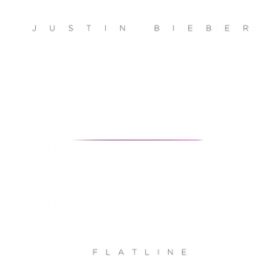 Flatline / WXeBEr[o[