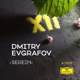 Serein / Dmitry Evgrafov