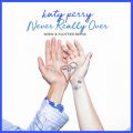 PCeBEy[̋/VO - Never Really Over (Wow & Flutter Remix)
