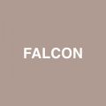 Falcon featD Raury