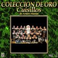 Ao - Coleccion de Oro, Vol. 1 / Banda Cuisillos