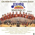Ao - Grandes Exitos, Grandes Amigos: Sinfonico, Vol. 1 / Junior Klan