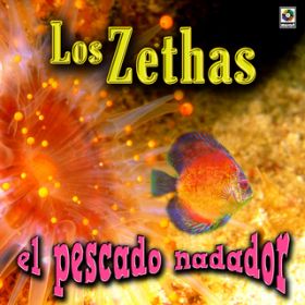 Lucerito De Mis Noches / Los Zethas