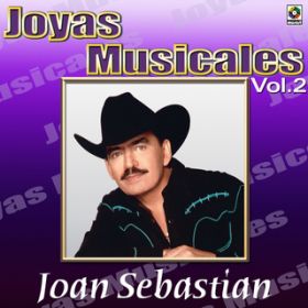 Ao - Joyas Musicales, VolD 2: Muchachita Pueblerina / Joan Sebastian