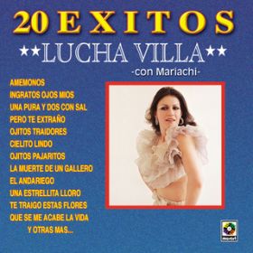 Ao - 20 Exitos / Lucha Villa