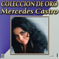 Ao - Coleccion de Oro: Con Mariachi, Vol. 1 / Mercedes Castro