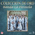 Ao - Coleccion de Oro, VolD 3 / Banda la Pirinola