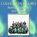 Ao - Coleccion de Oro, VolD 2 / Banda Torera del Valle