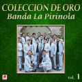 Ao - Coleccion de Oro, VolD 1 / Banda la Pirinola