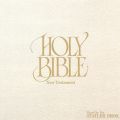 Ao - Holy Bible - New Testament / X^g[EuU[Y