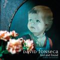 Ao - Lost And Found - B-Sides And Rarities / David Fonseca