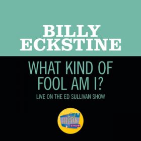 What Kind Of Fool Am I? (Live On The Ed Sullivan Show, July 22, 1962) / r[EGNX^C