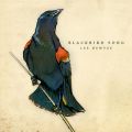 Lee DeWyze̋/VO - Blackbird Song