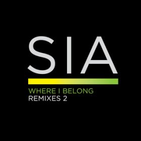 Where I Belong (Red Astaire Remix) / V[A