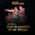 Ao - Bajo La Sombra De Un Mango (En Vivo) / Banda Fortuna