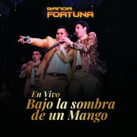 Intro (Los Colorados-Pichatarito) (En Vivo) / Banda Fortuna