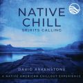 Ao - Native Chill Spirits Calling: A Native American Chillout Experience / fBbhEA[JXg[