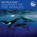 Ao - Nature & Music: Journey Of The Whales / fBbhEA[JXg[