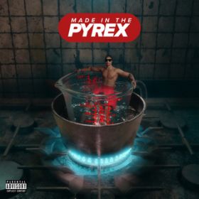 Ao - Made In The Pyrex (Bonus Track) / Digga D
