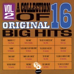 Ao - A Collection Of 16 Original Big Hits Vol. 2 / @AXEA[eBXg