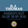 B.J.g[}X̋/VO - Raindrops Keep Fallin' On My Head (Live On The Ed Sullivan Show, January 25, 1970)