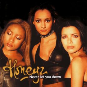 Never Let You Down (Honky Mix) / nj[Y