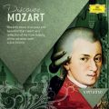 Mozart:  40 gZ K. 550 - 1y: Molto allegro