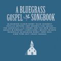 The Nashville Bluegrass Band̋/VO - Gospel Plow