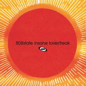 Insane Lover (Analogue Mix) / 808 State